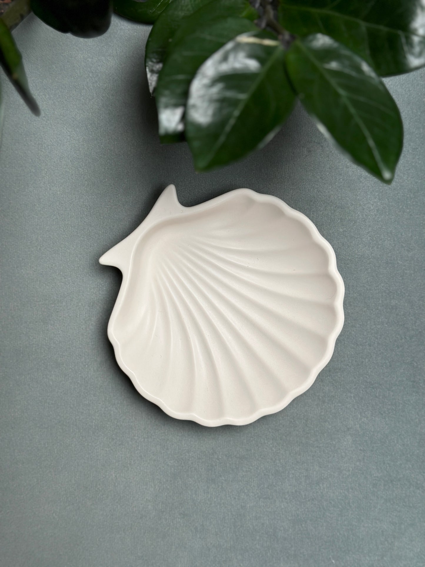 Kleine Muschelschale „hell“