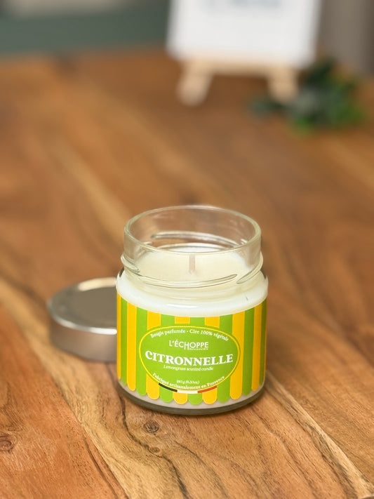 Duftkerze "Zitronengras" aus 100% Sojawachs – Made in Frankreich